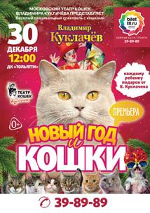 Новый год и кошки в ДК Тольятти